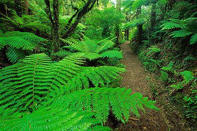 守望先锋：经典限时模式11＆12登陆《守望先锋2》